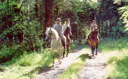 Pony Trekking Cong Woods