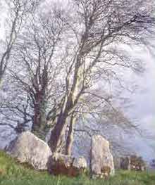 Cong Stone Circle